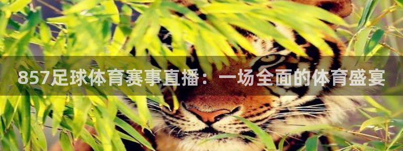 857足球体育赛事直播：一场全面的体育盛宴