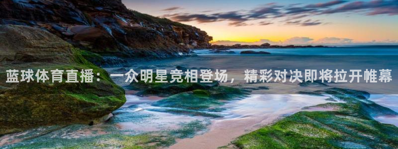 蓝球体育直播：一众明星竞相登场，精彩对决即将拉开帷幕