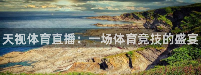 天视体育直播：一场体育竞技的盛宴