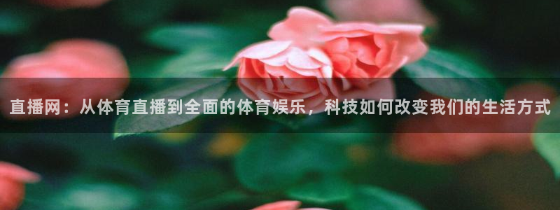 直播网：从体育直播到全面的体育娱乐，科技如何改变我们的生活方式